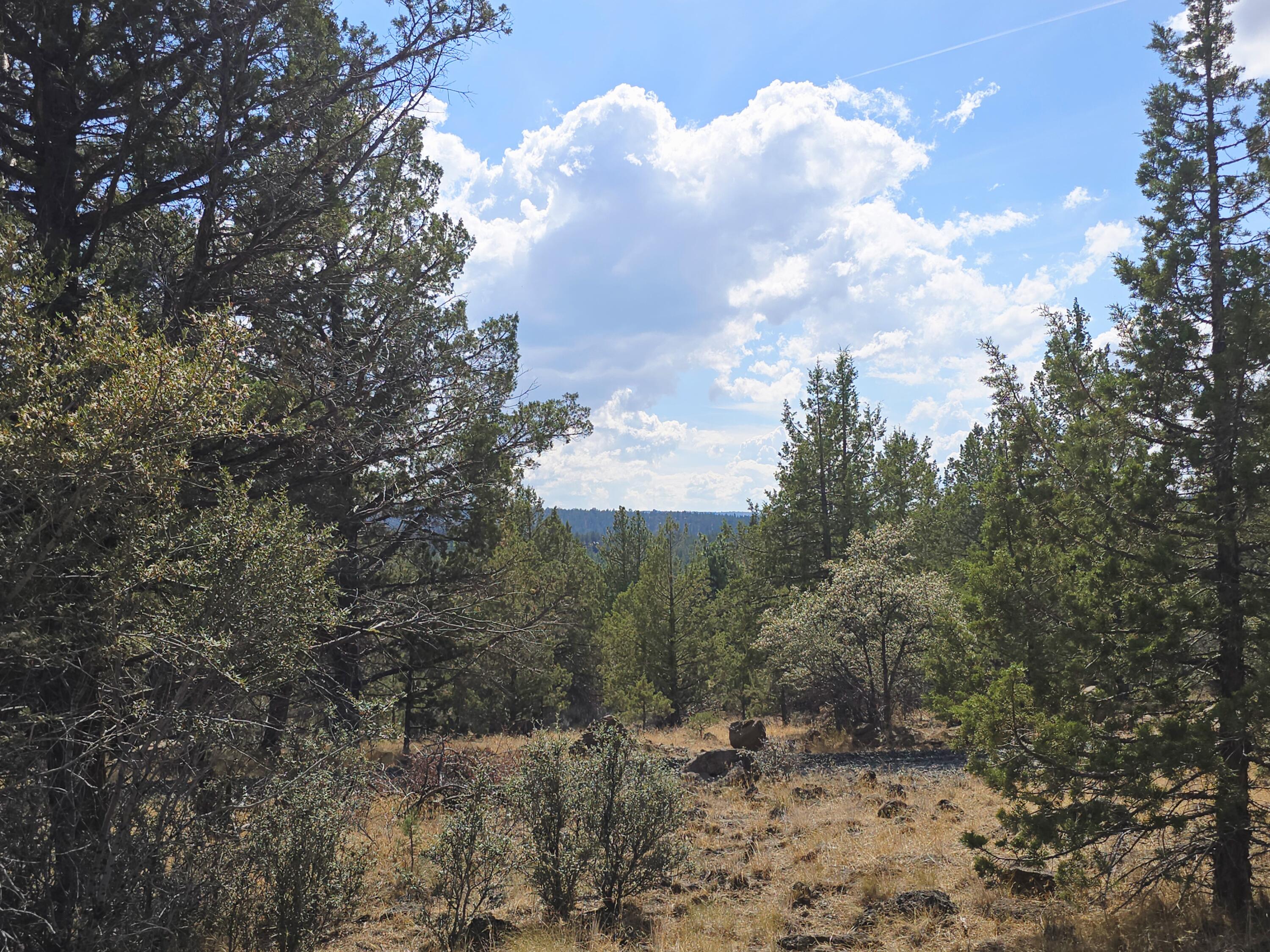 Klamath Falls Forest Estates -Hwy 66 Unit -Plat No. 2 - Land