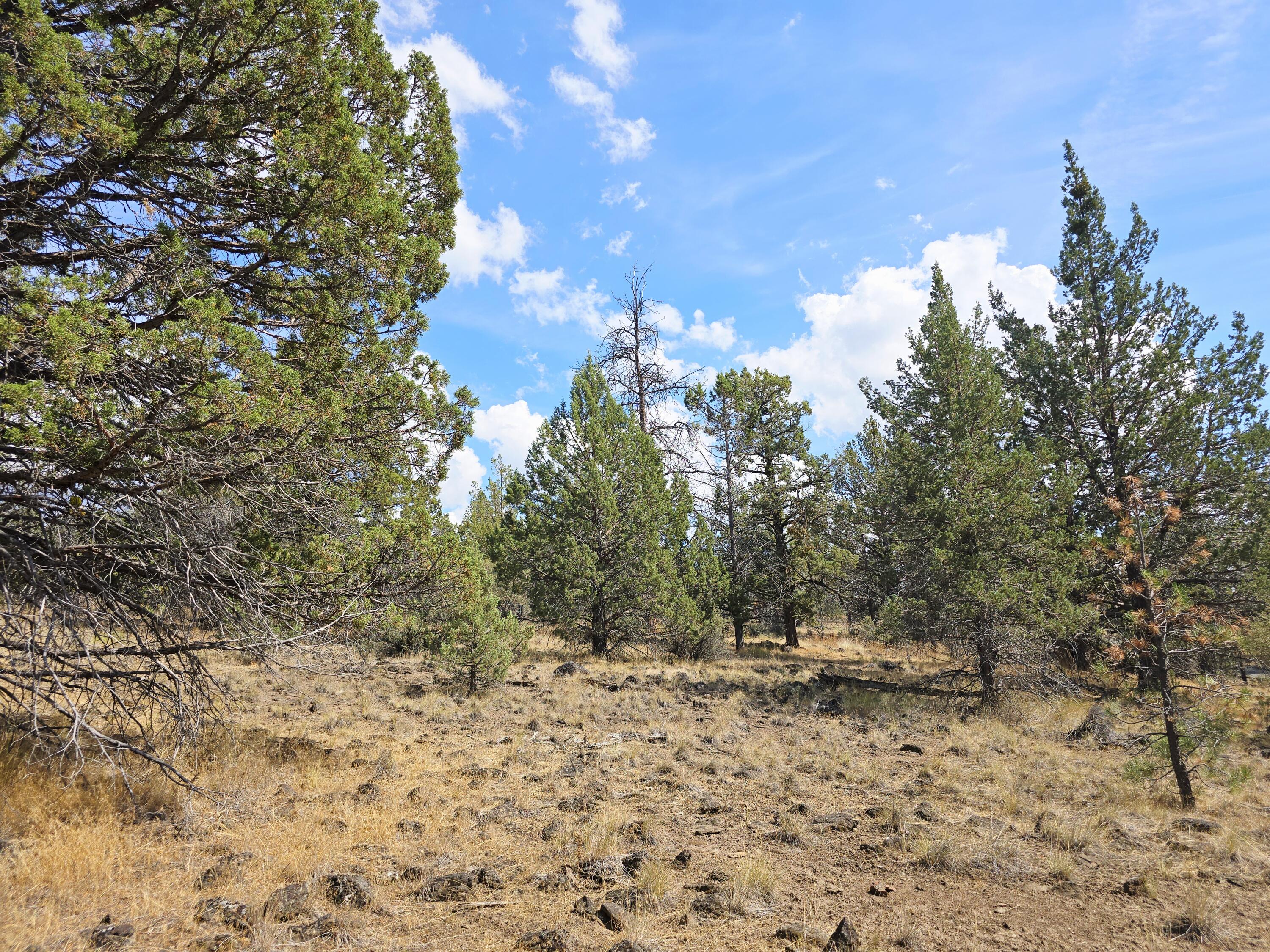 Klamath Falls Forest Estates -Hwy 66 Unit -Plat No. 2 - Land