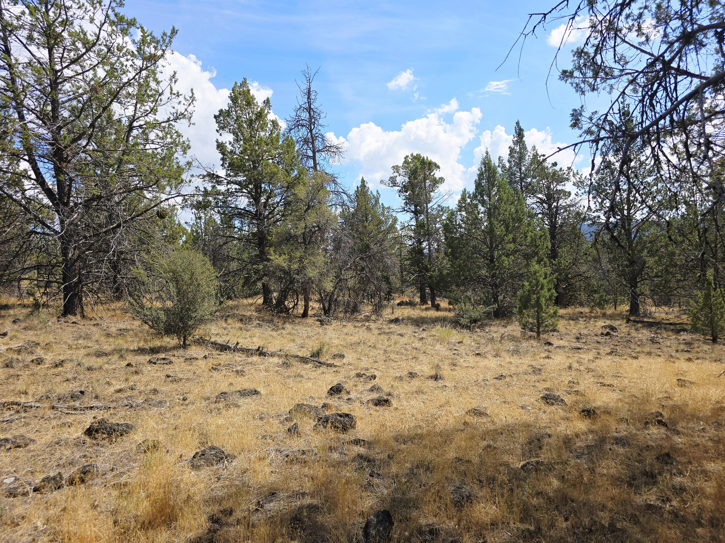 Klamath Falls Forest Estates -Hwy 66 Unit -Plat No. 2 - Land