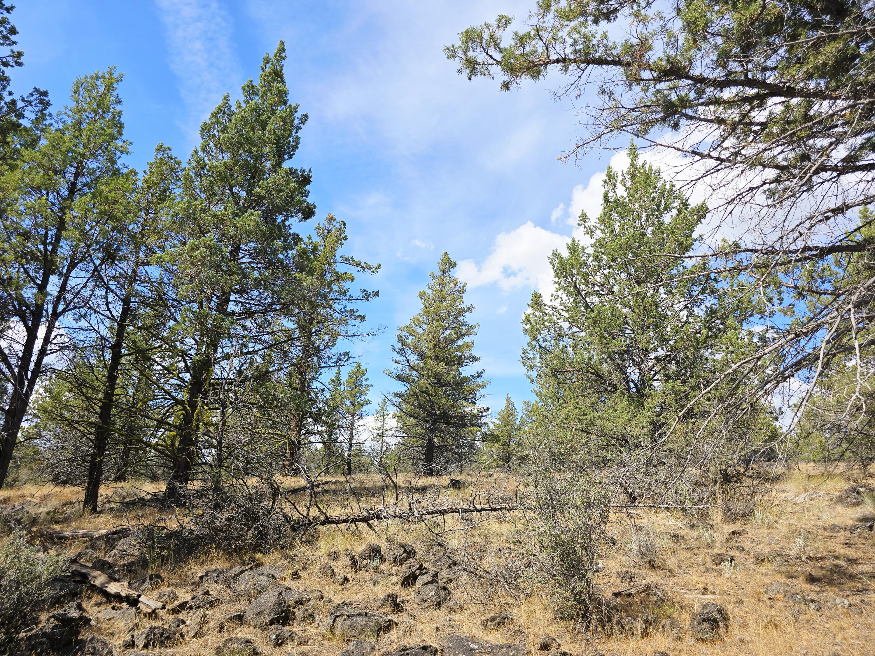 Klamath Falls Forest Estates -Hwy 66 Unit -Plat No. 2 - Land