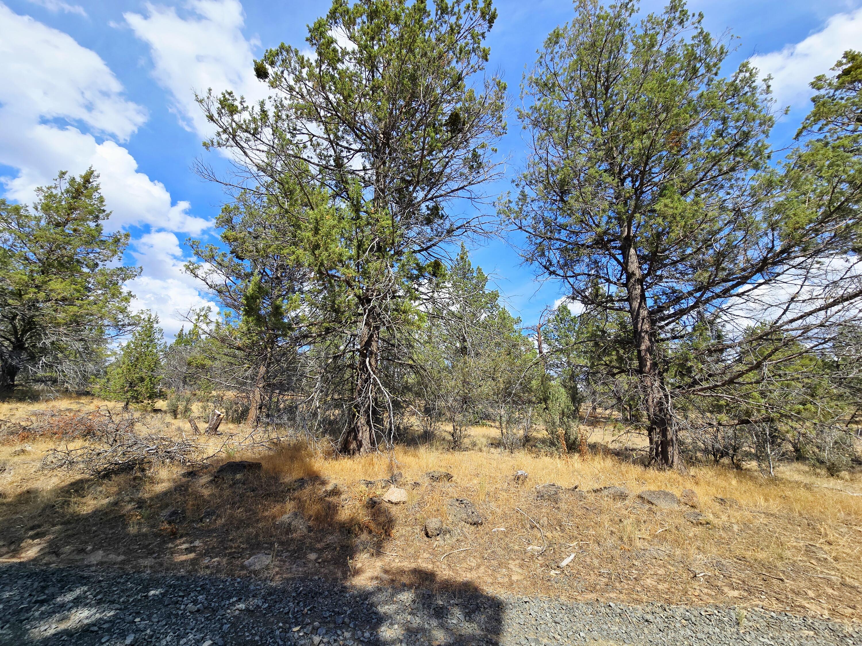 Klamath Falls Forest Estates -Hwy 66 Unit -Plat No. 2 - Land