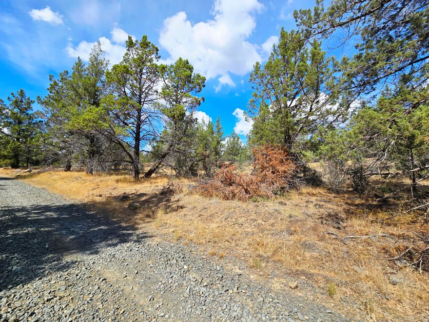 A beautiful lot to build a dream home on under Oregon's wide skies, this 2.35-acre parcel in Bonanza offers a gentle slope with native trees, gravel road access, and views stretching across the valley to the frosted mountains. Nights bring a blanket of bright stars and the quiet sounds of nature, with deer, elk and birds often nearby. Bonanza has deep ranching and farming roots, with community amenities close at hand and Klamath Falls about 25 miles away for larger services. Nearby Fremont-Winema Forest provides opportunities for hiking, fishing, and exploring year round. Here, evenings settle into quiet stillness, broken by the call of the owls or the rustle of the wind through the trees. Each season shapes the land in its own way-snow-dusted winters, vibrant green springs, and golden autumn fields. Known for good wells in the area and the power is just a few lots away! Approximate GPS Coordinates: 42.28223,-121.41934