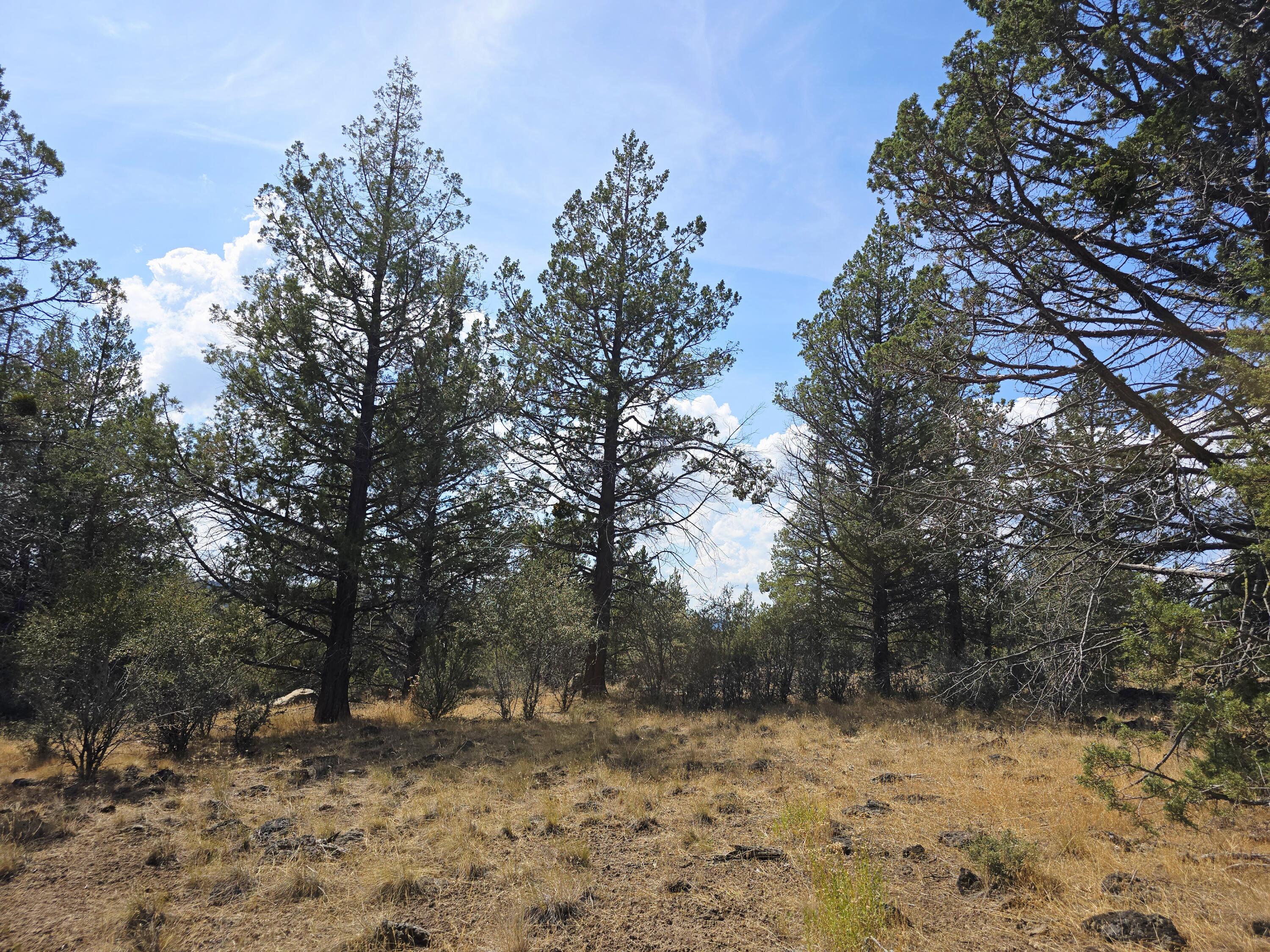Klamath Falls Forest Estates -Hwy 66 Unit -Plat No. 2 - Land