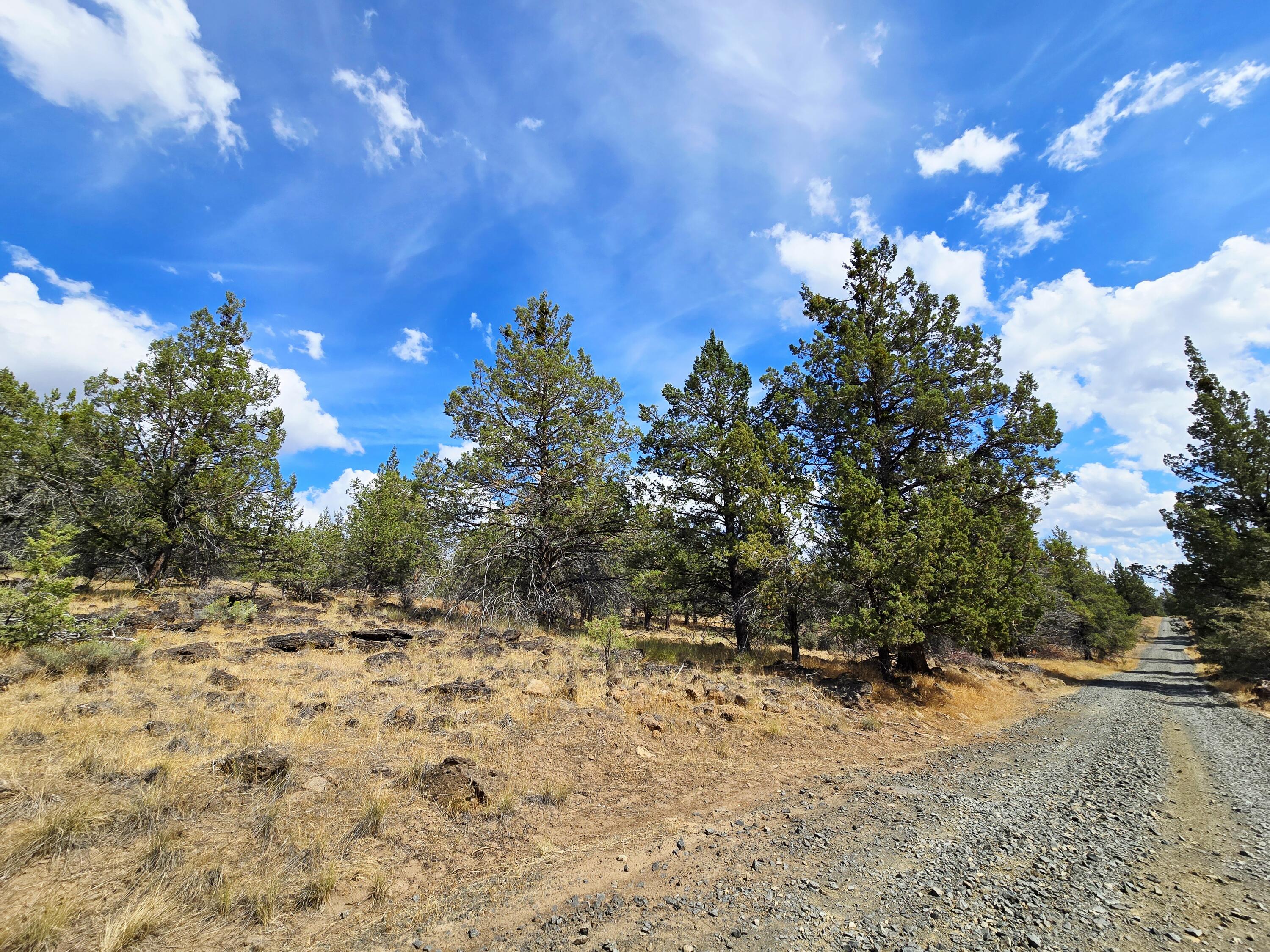 Klamath Falls Forest Estates -Hwy 66 Unit -Plat No. 2 - Land