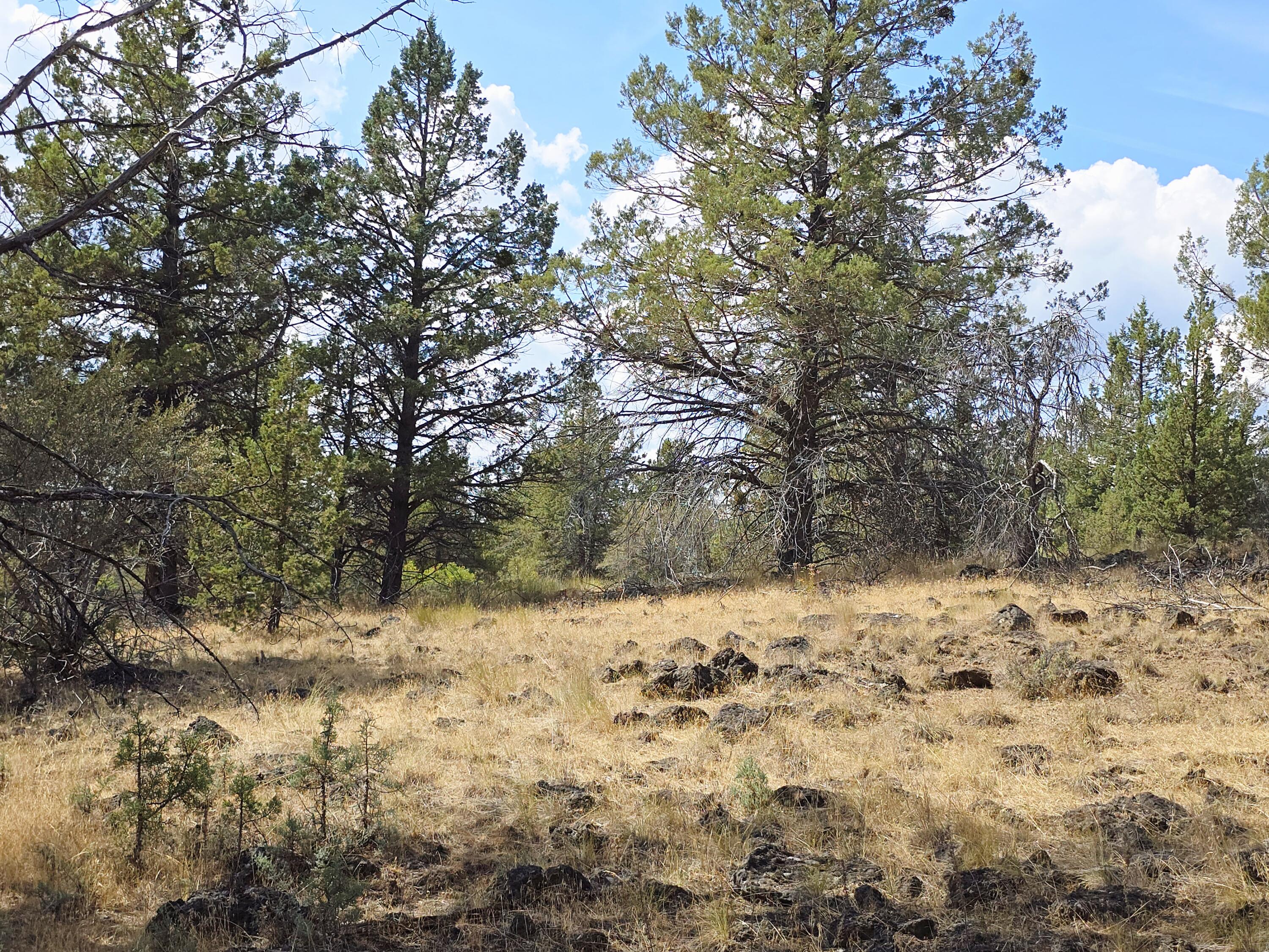 Klamath Falls Forest Estates -Hwy 66 Unit -Plat No. 2 - Land
