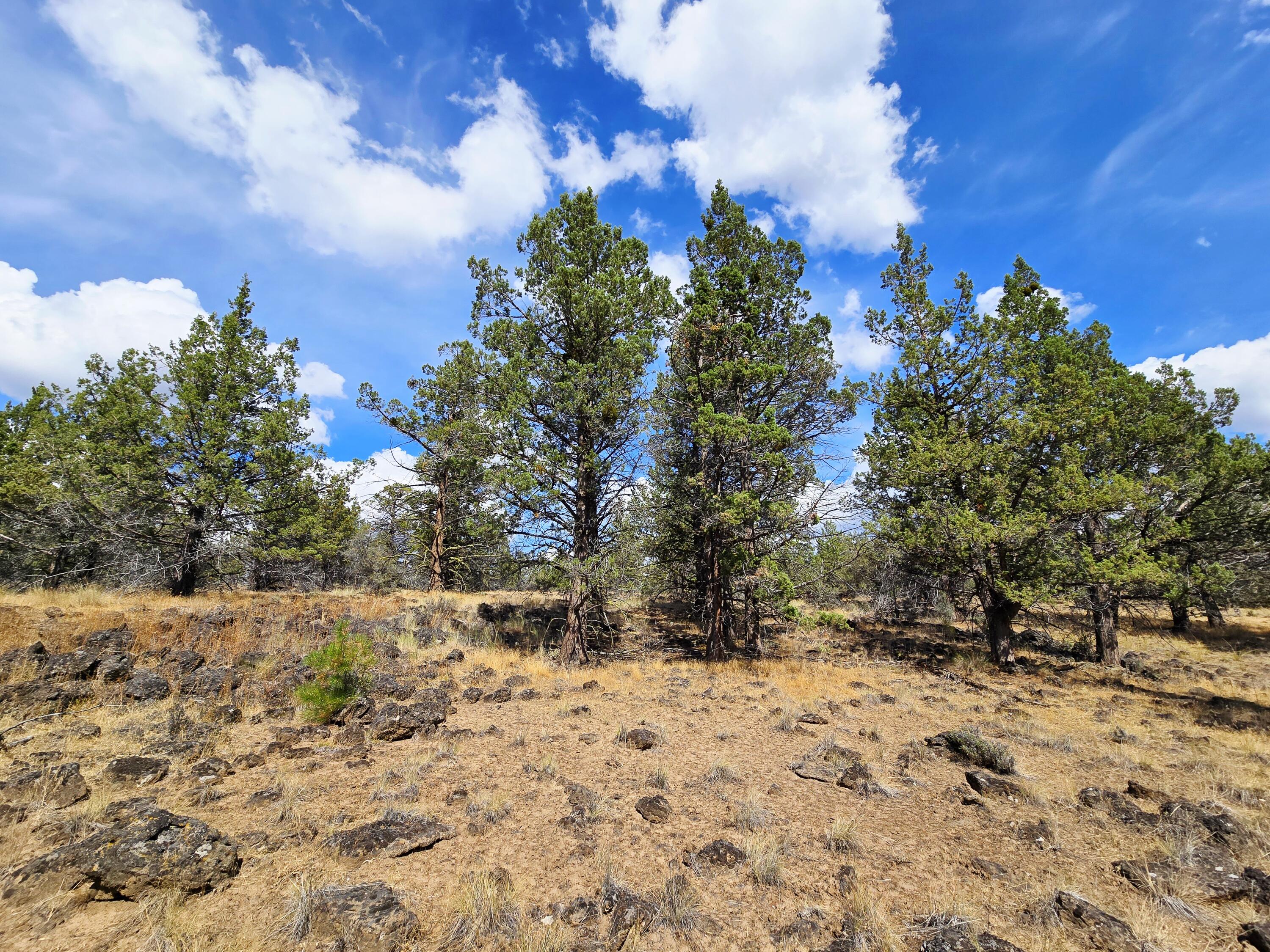 Klamath Falls Forest Estates -Hwy 66 Unit -Plat No. 2 - Land