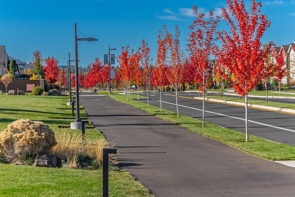 Petrosa - Residential