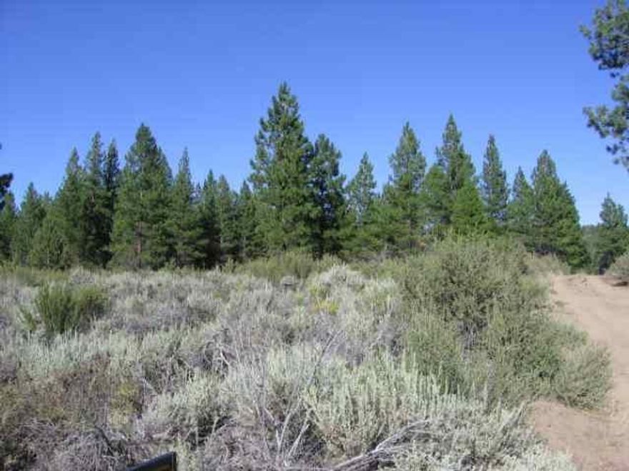 Drastic Reduction!!!! Take A Look At This Nice 3.5 Acre Parcel With Some Trees,Good Area Just Outside Of The Small Community Of Sprague River.