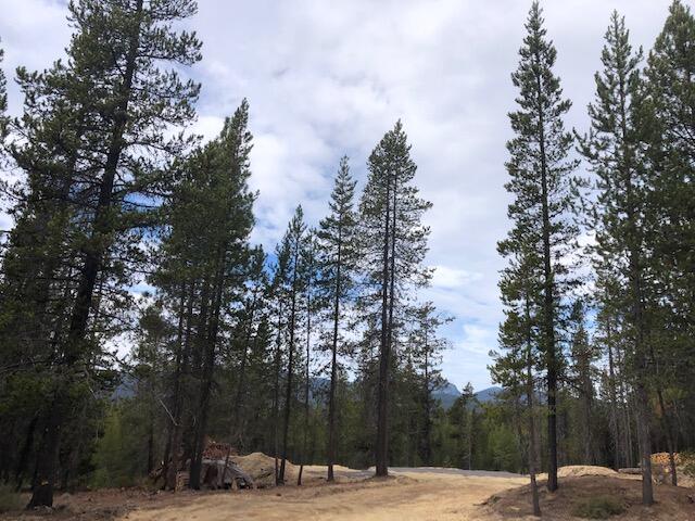 Diamond Peaks - Land