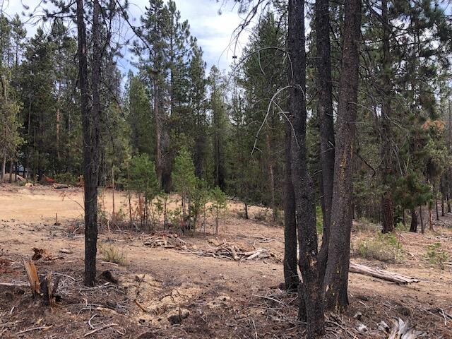 Diamond Peaks - Land