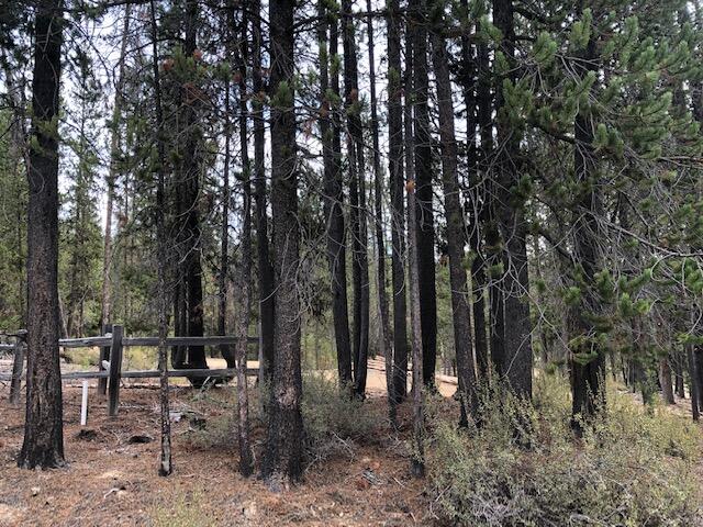 Diamond Peaks - Land