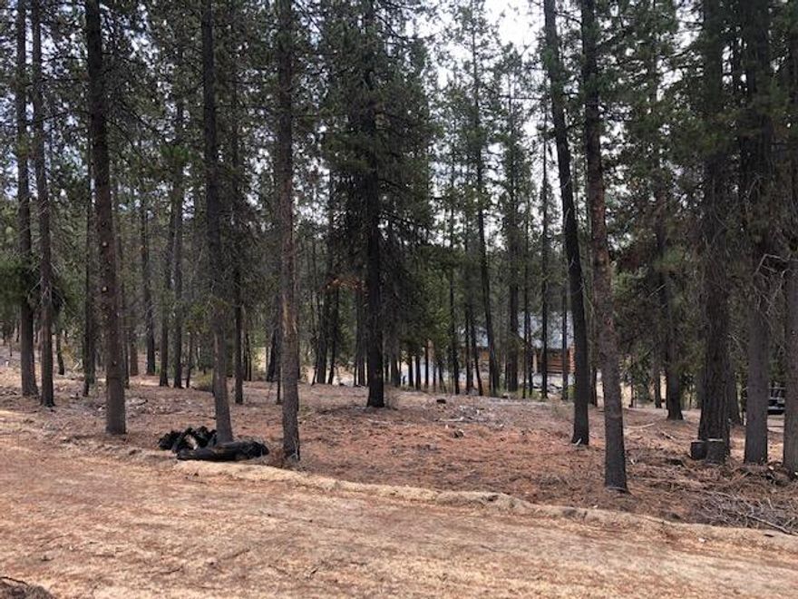 This Diamond Peaks lot will make someone a great homesite. Per docs on file septic feasibility is approved for a standard system. Electric at the street. Community water available for a $500 hookup fee. Roads are paved and maintained year round. Easy access to forestland for all your outdoor adventures. Willamette Pass Ski Resort, Pacific Crest Trail head, Odell & Crescent Lakes and numerous other Mountain lakes nearby. Lowest HOA fees in Diamond Peaks