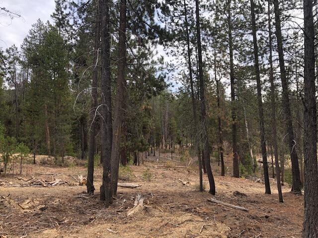 Diamond Peaks - Land