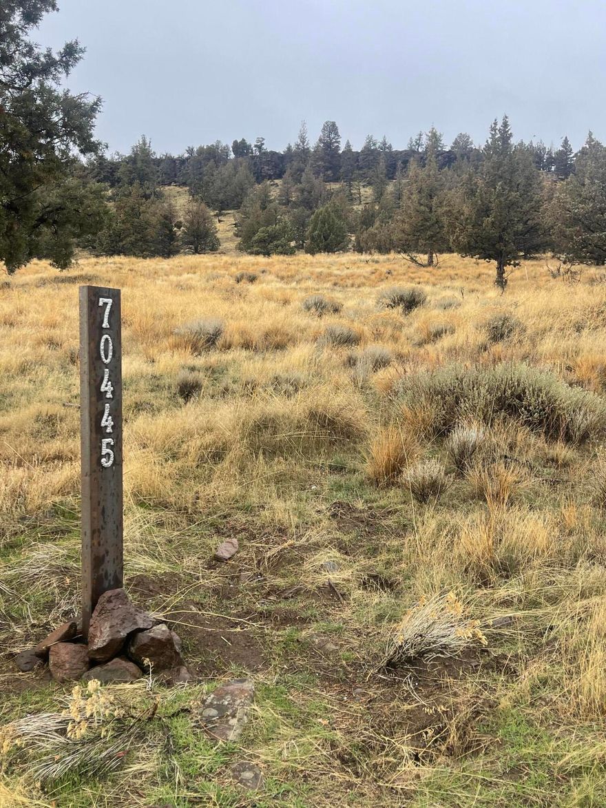 Privacy and space: 5.19 acres inside a low density, 300+ acre subdivision with only nine residences — true elbow room.  
- Protected rural character: EFU zoning plus 30,000+ acres of surrounding BLM ensures NO future development and lasting views.  
- Ready to build: Seller has/will provide wells, septic and power at the lot, reducing initial site development timeline & cost.  
- This lot is zoned NON farmland. Gentle slope supports tremendous views of the FHC community and The cascades, Smith Rock & the Ochocos 
- Lifestyle & recreation: Walk, hike within vineyard estates or explore the adjacent BLM countryside. Community master plan includes large event center, large lake and amphitheater — ideal for private events and community gatherings.  
- Wildlife & scenery: Frequent sightings of deer, birds of prey, & elk — picturesque rural living and wildlife viewing opportunities.  
- Location: Conveniently positioned between Redmond & Sisters. Dreams are made of properties like this