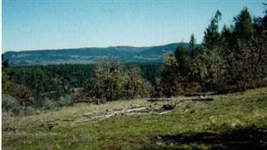 Property zoned WR. No home site approved at this time. Good soil for growing trees.