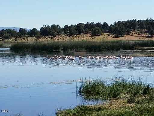 SPRAGUE RIVER RD, SPRAGUE RIVER, OR 97639 - Image 45a70dcaffeba96da90fd4e0e1473be5/4101477178