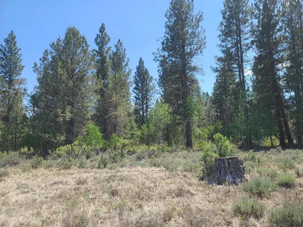 Sprague River - Land