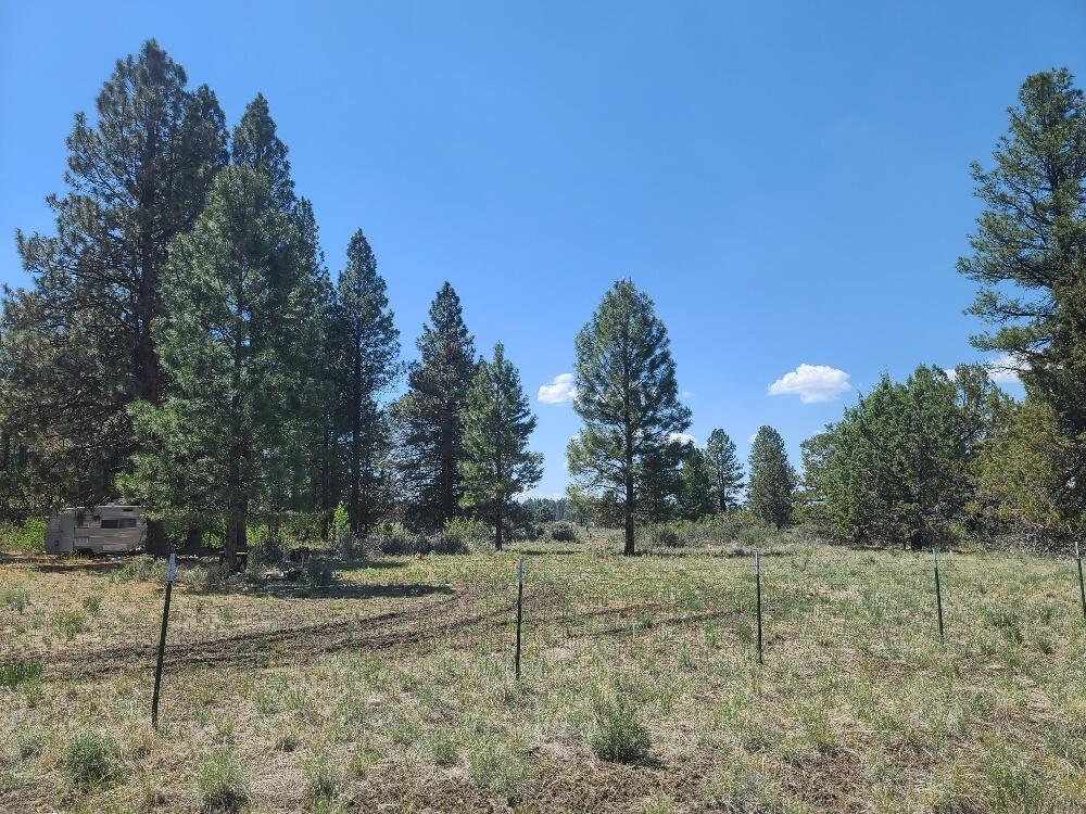 Sprague River - Land