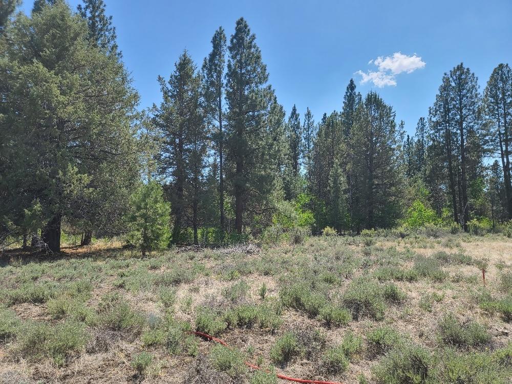 Sprague River - Land