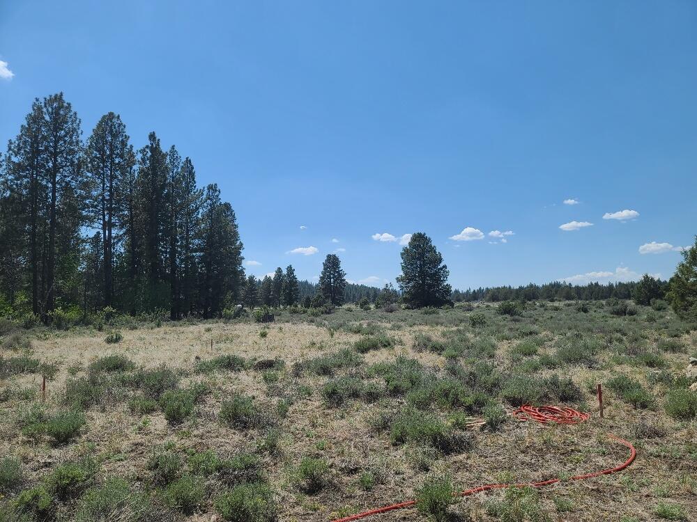 Sprague River - Land