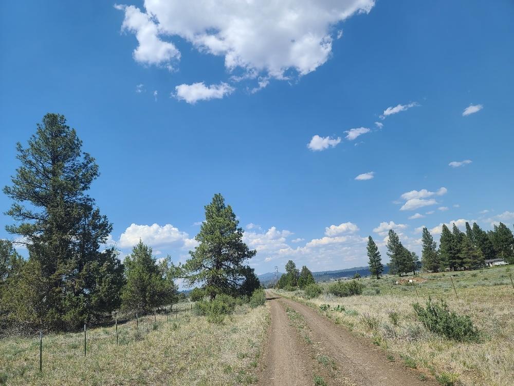 Sprague River - Land