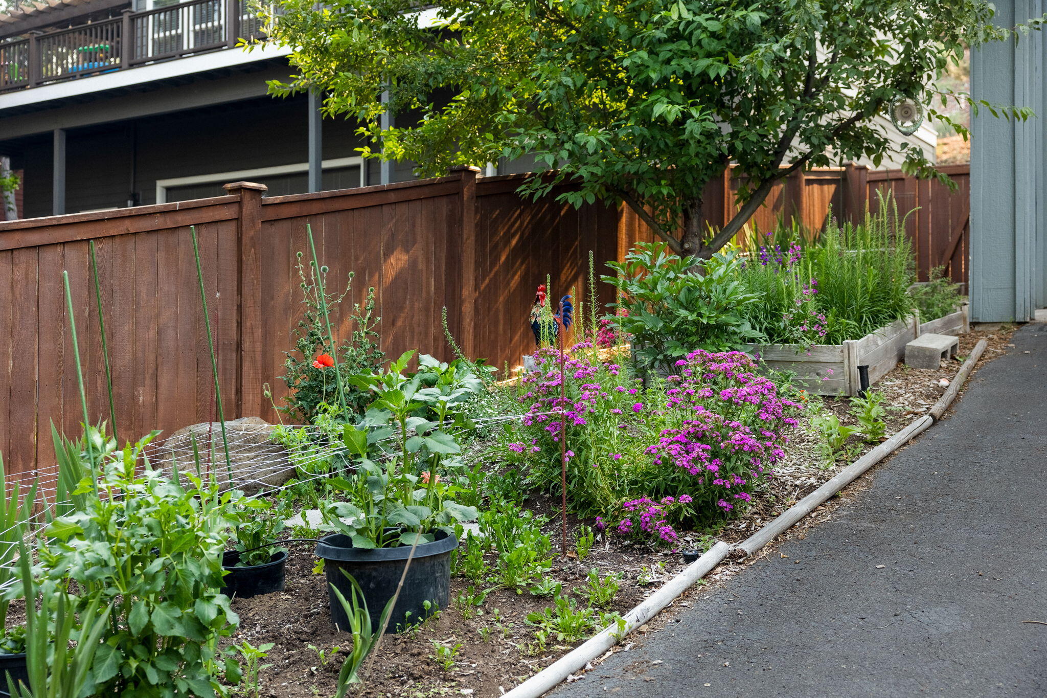 Aubrey Heights - Residential