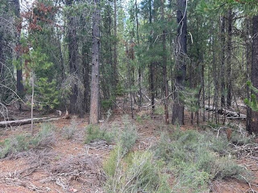 This parcel is located near Crescent & Odell lakes as well as numerous other mountain lakes. Fronts Hwy 58. Property is an estate and seller has no information regarding County requirements. Buyer and Buyers agent to do their due diligence in regard to accessibility and permitted use.