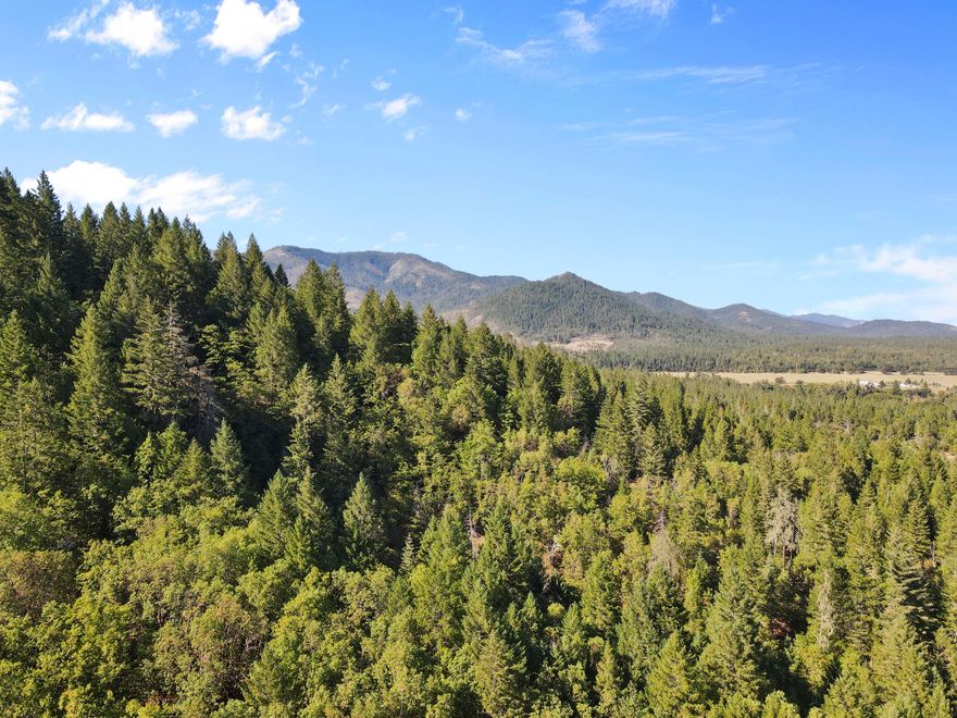 Discover 40 private acres in Southern Oregon, offering endless potential for your dream property. Tucked away on Warren Road in Selma, this wooded parcel is rich with mature trees and natural beauty, creating a peaceful retreat surrounded by nature. Whether you envision building a custom home, developing a recreational getaway, or holding for future use, the opportunities are wide open. Plenty of room for trails, gardens, or just enjoying the serene forest setting. Located near the Illinois Valley/Illinois River and backed up against Eight Dollar Mt. BLM, this property's value is in the land. Buyer to perform due diligence regarding zoning, utilities, and land use possibilities.