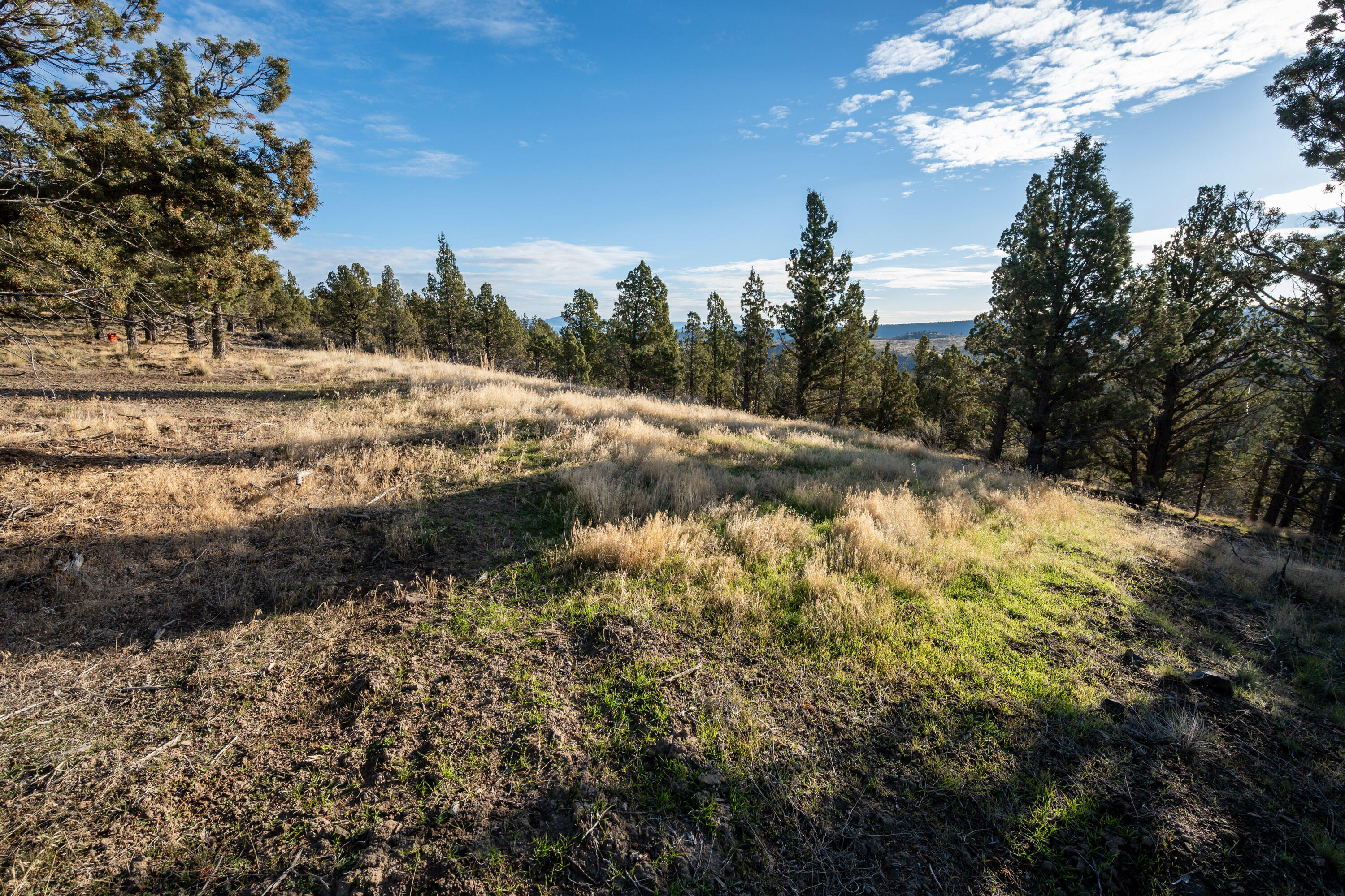 Riverside Ranch - Land