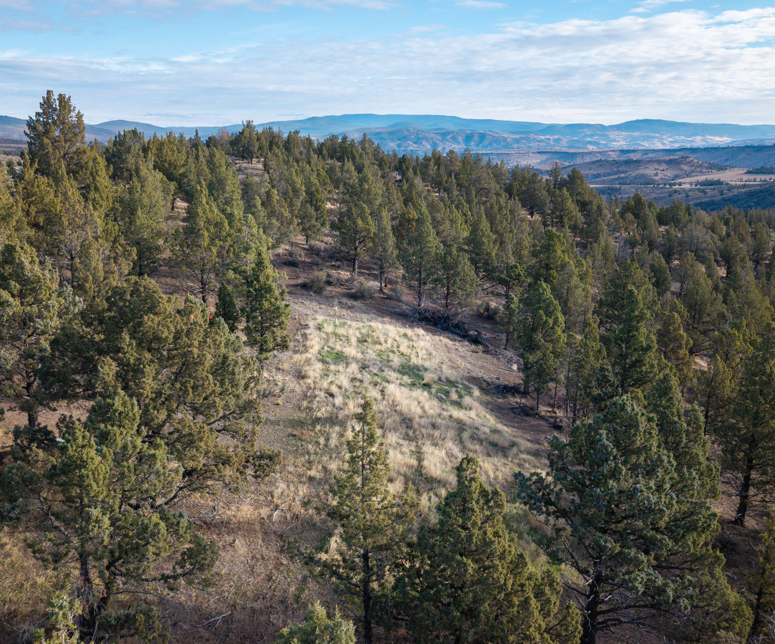 Riverside Ranch - Land