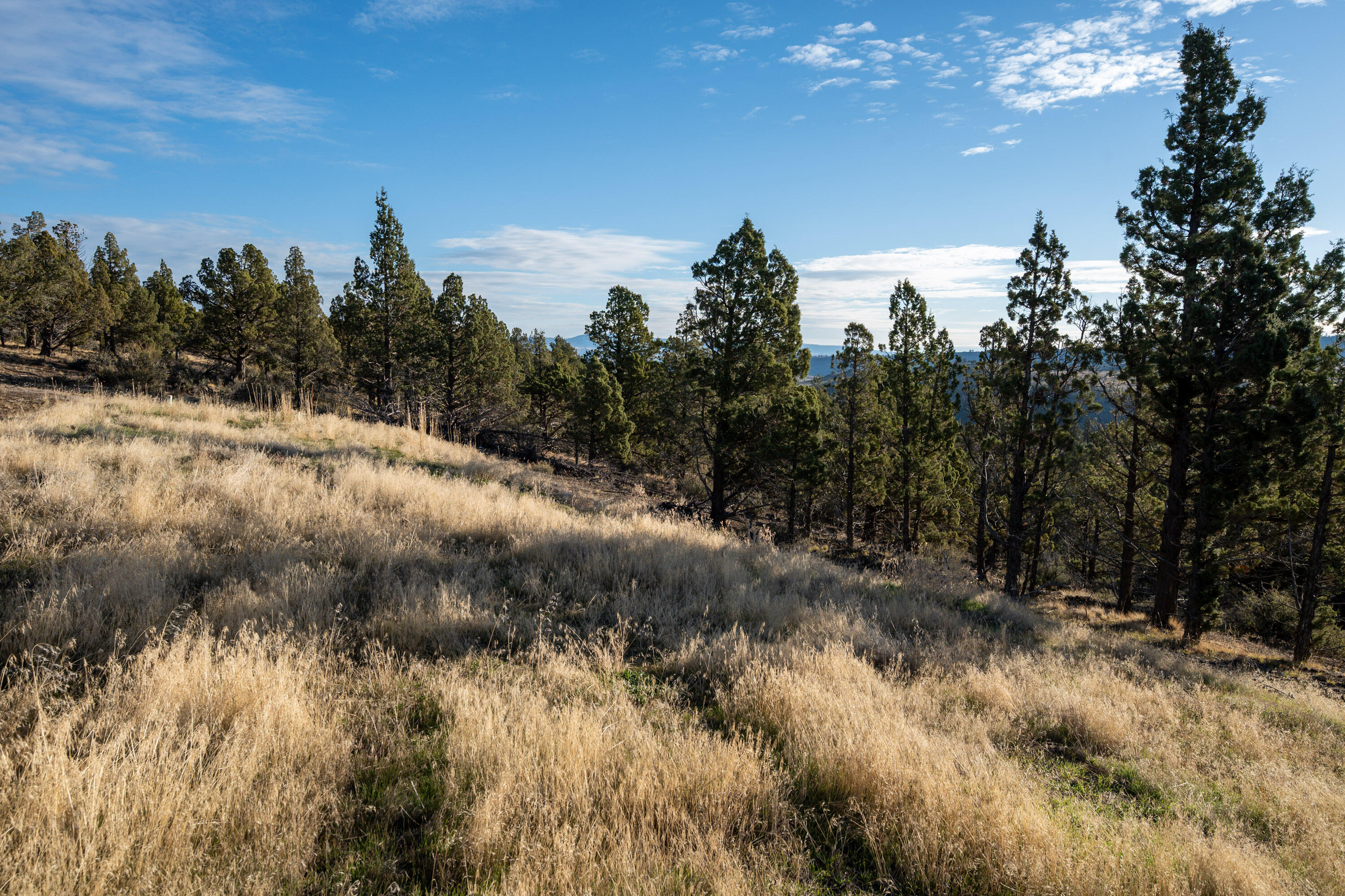 Riverside Ranch - Land