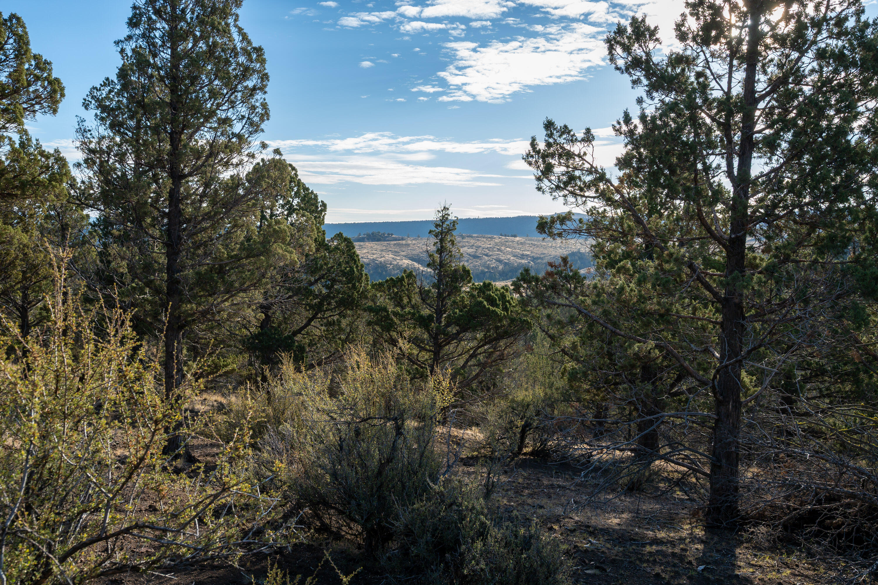 Riverside Ranch - Land