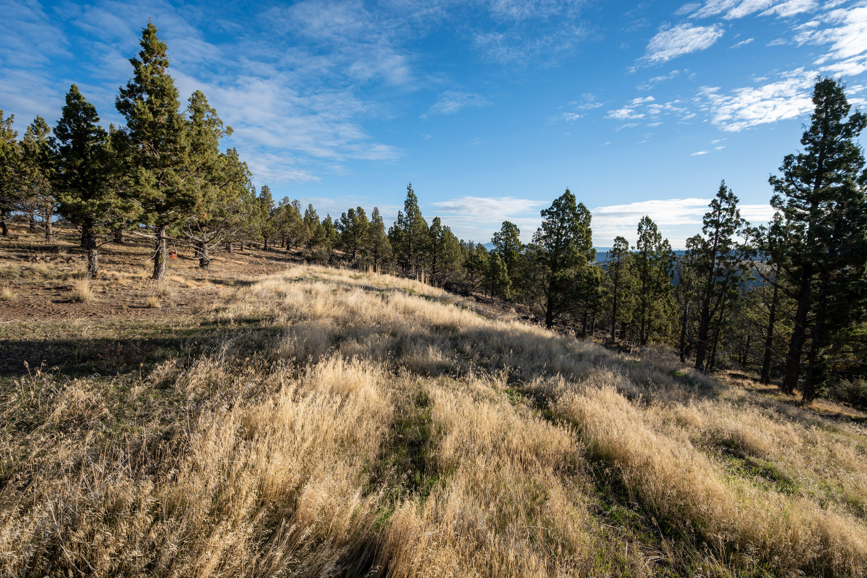 Riverside Ranch - Land