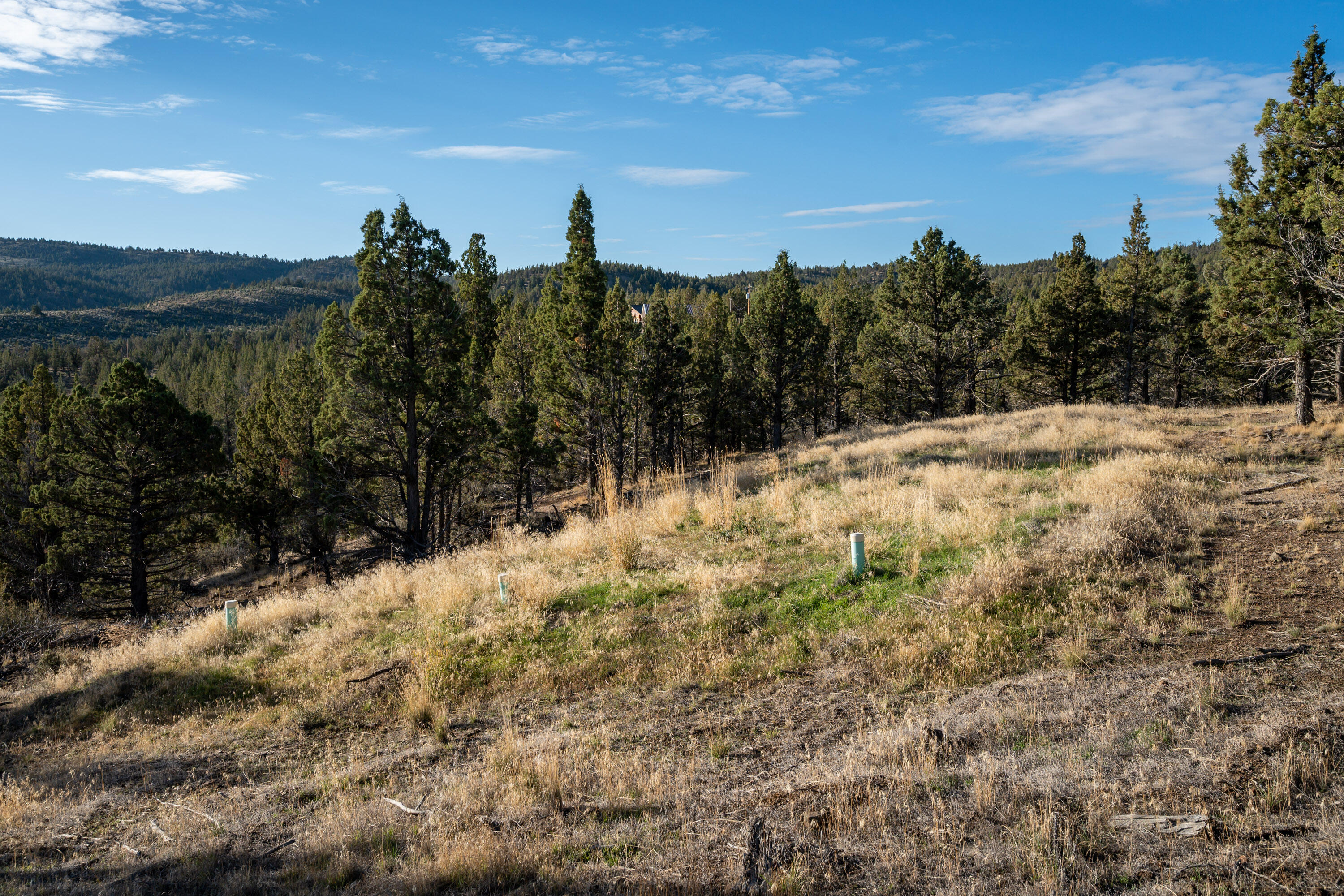 Riverside Ranch - Land