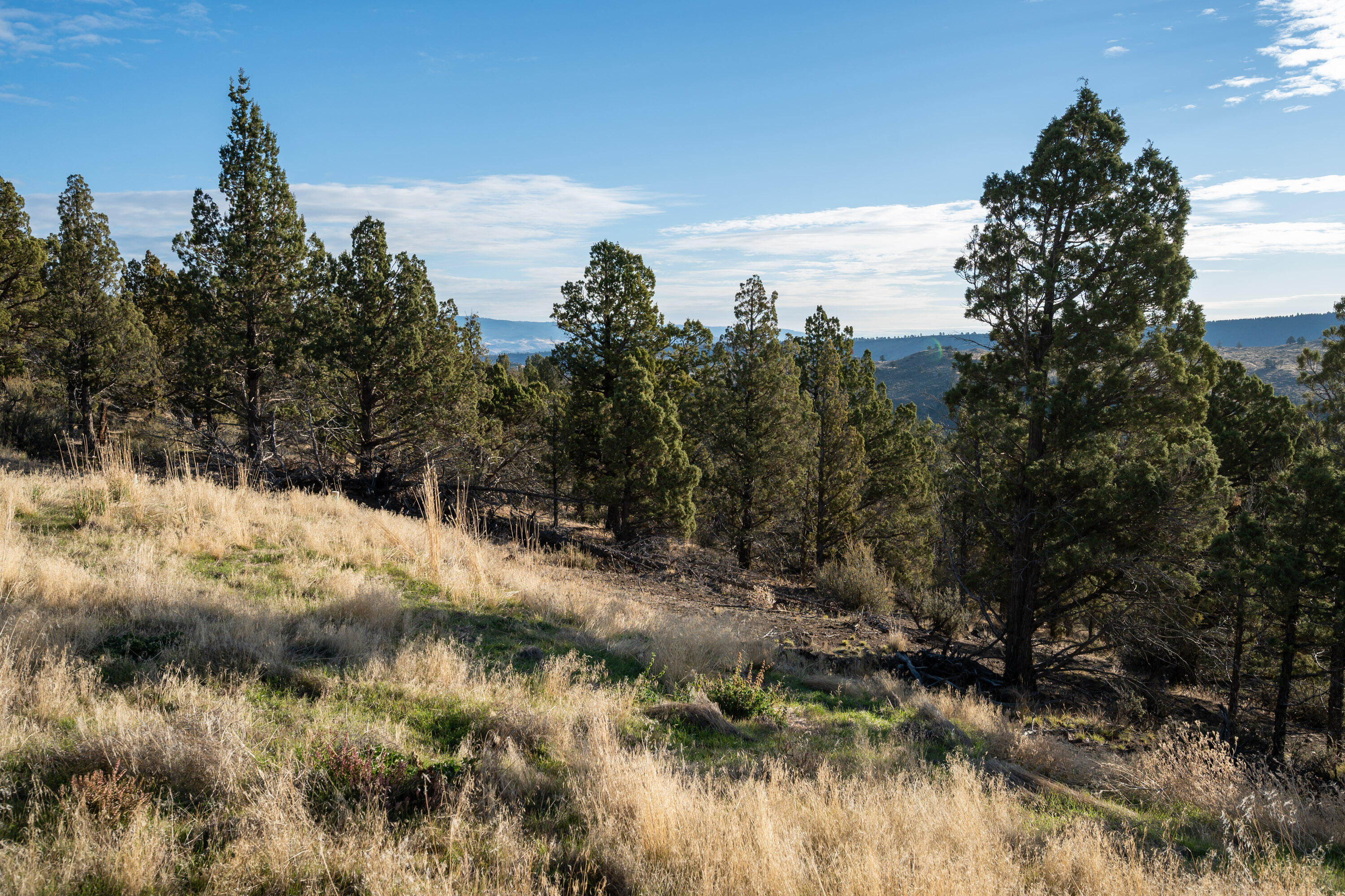 Riverside Ranch - Land