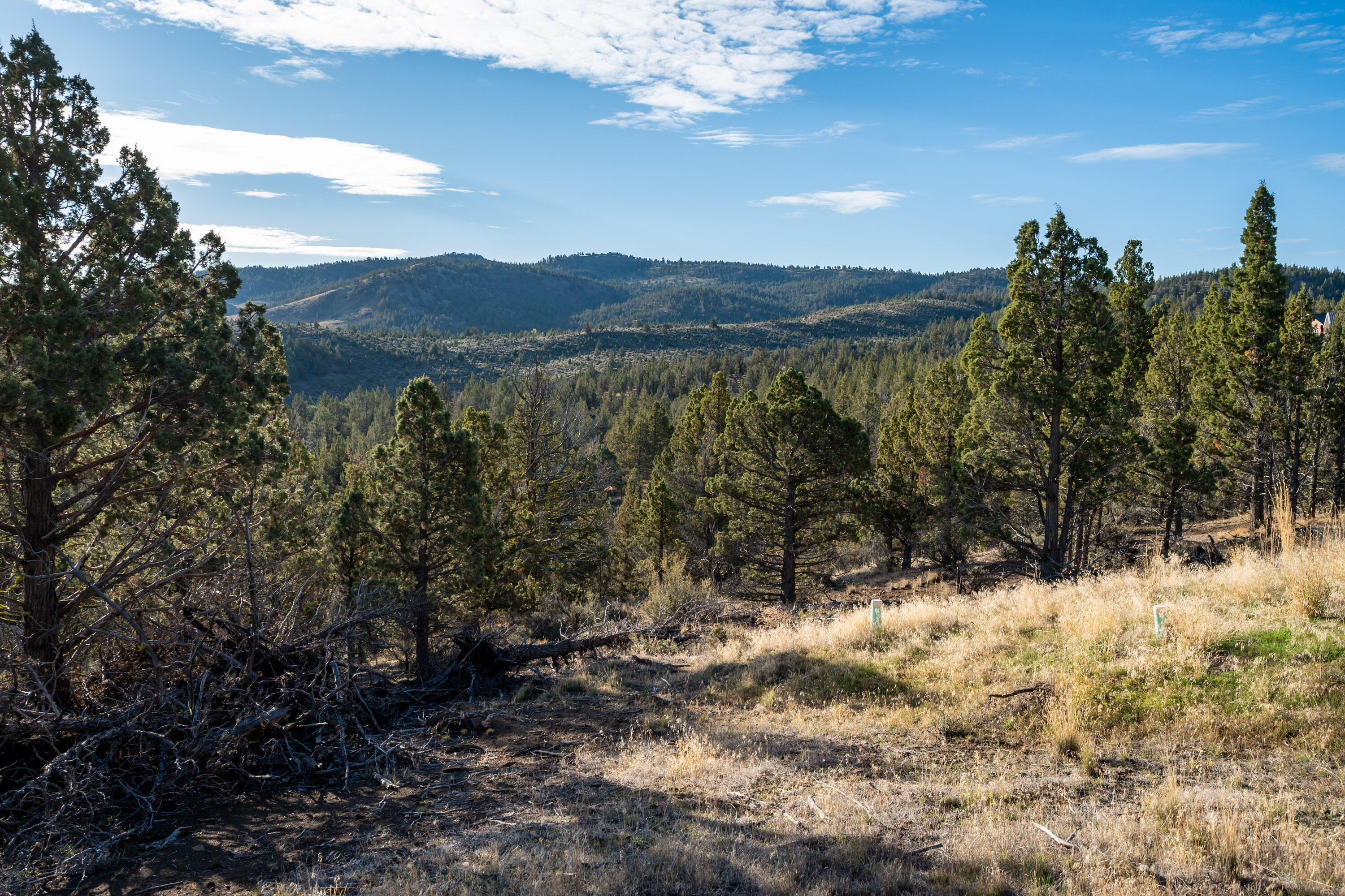 Riverside Ranch - Land