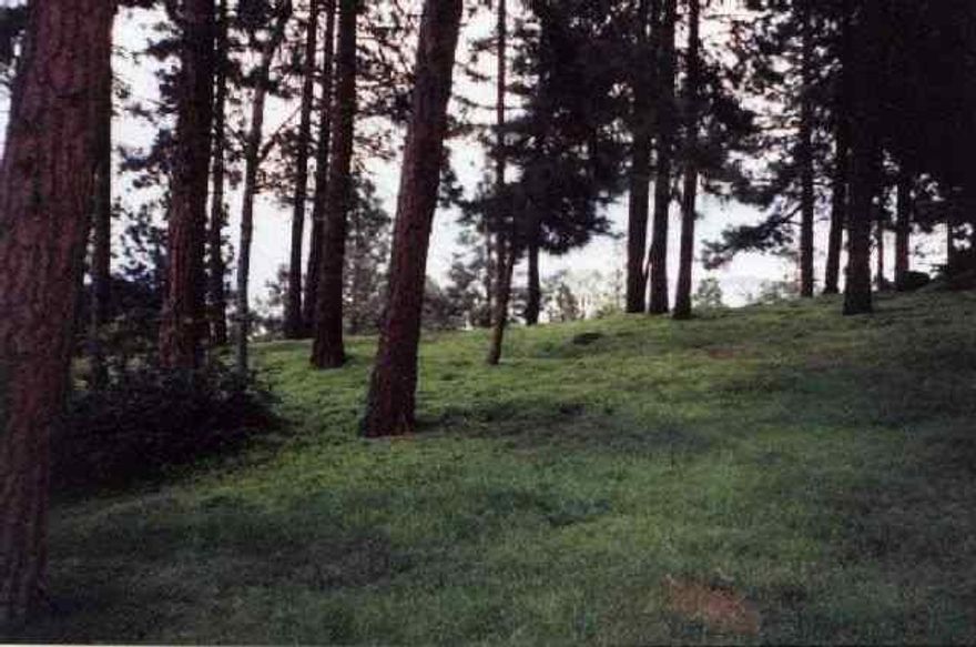 Compelling Lake View Enhances The Peaceful Setting Of This Street To Street Lynnewood Lot. Contours Would Accommodate A Variety Of Floor Plans. One Of A Very Few Undeveloped View Lots.