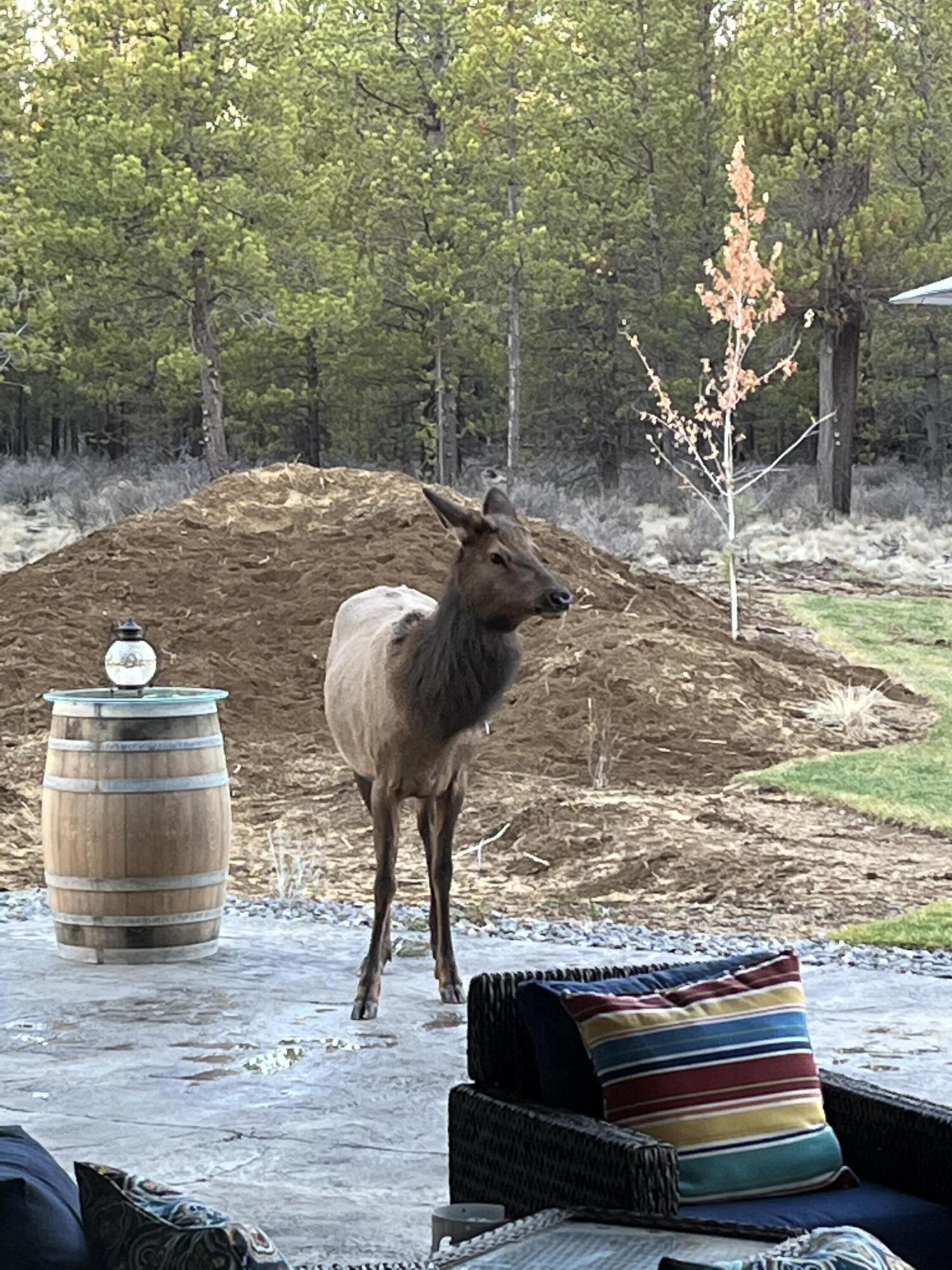 Pinewood Country Est - Residential