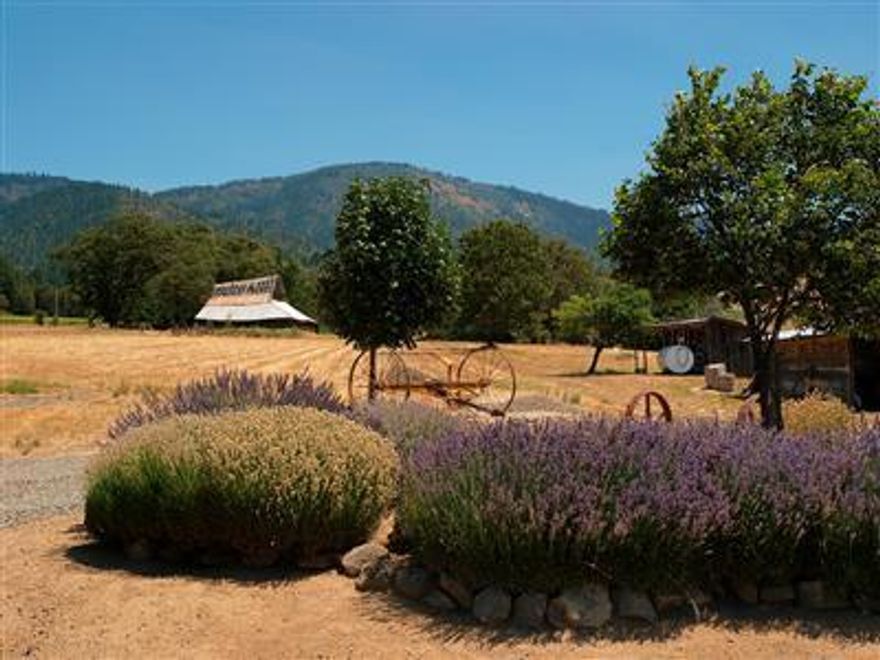 102+ acres of prime vineyard property in the heart of the Applegate Wine Trail. Centrally located on a corner between Troon, Wooldridge Creek and Schmidt Family vineyards. 7 wineries located in immediate neighborhood. 2 extensively remodeled homes including a 1890's farmhouse faithfully restored. Gentle slopes, documented irrigation rights (creek, well, pond, river) -cultivated lavender field. Tremendous views from upper home which is in a private setting. This is a great opportunity to be part of this growing wine country.