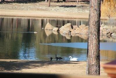 Aspen Lakes Golf Est - Residential