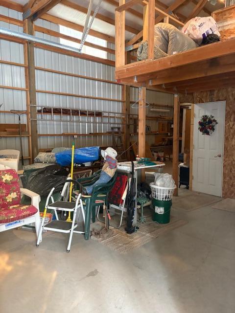 Ponderosa Pines - Land