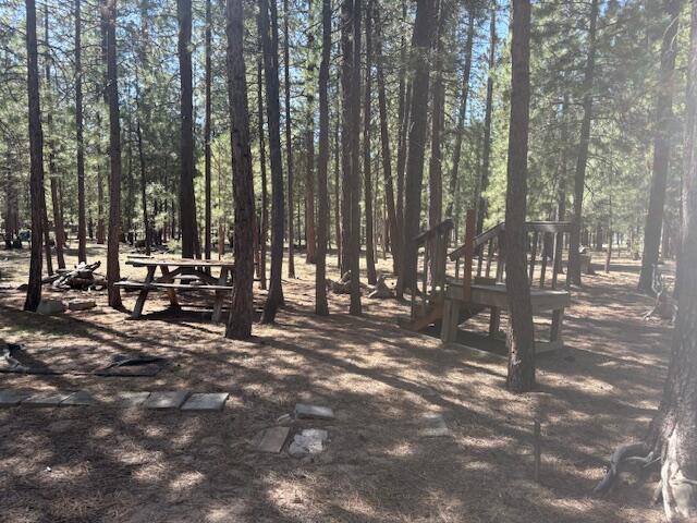 Ponderosa Pines - Land