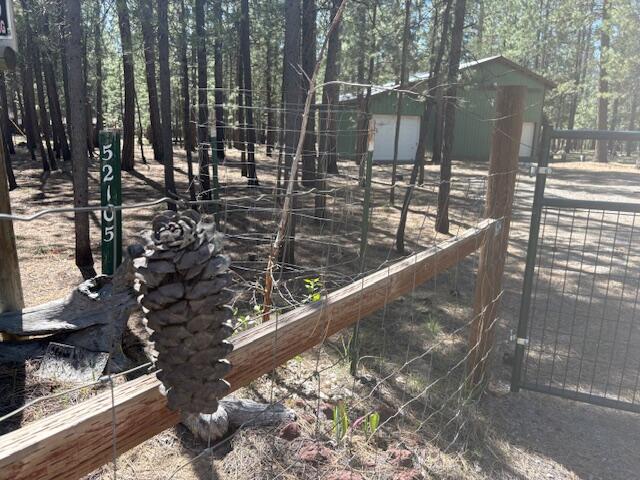 Ponderosa Pines - Land