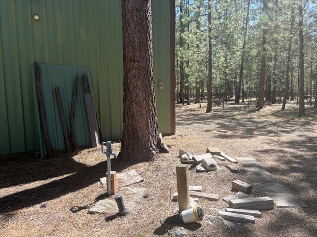 Ponderosa Pines - Land