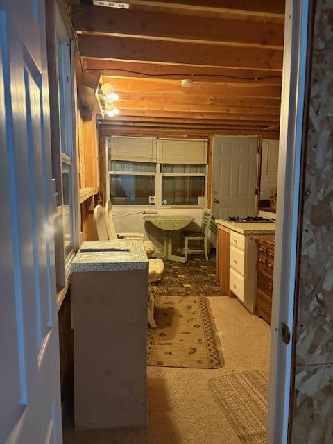 Ponderosa Pines - Land