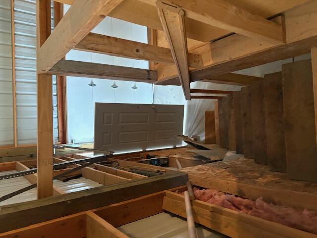 Ponderosa Pines - Land