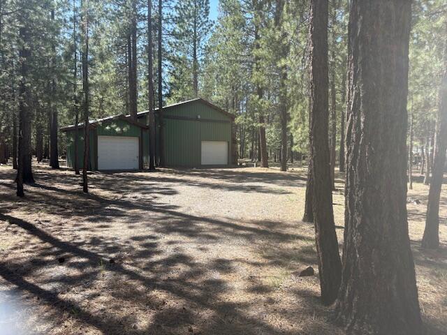 Ponderosa Pines - Land