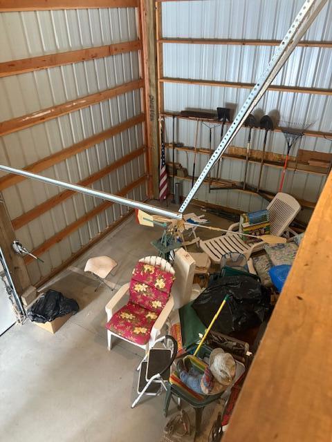 Ponderosa Pines - Land