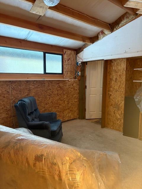 Ponderosa Pines - Land