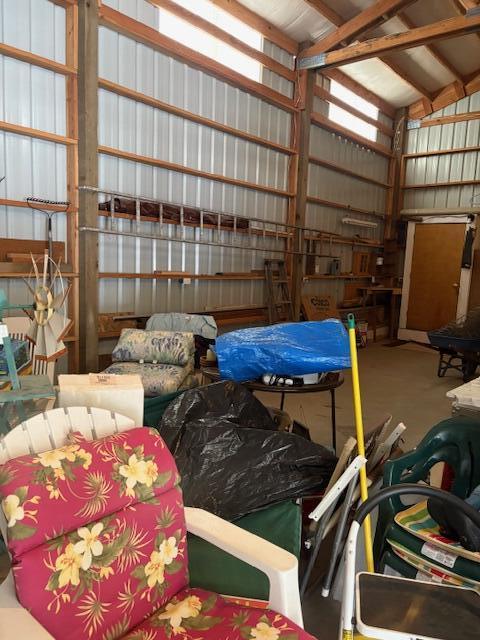 Ponderosa Pines - Land